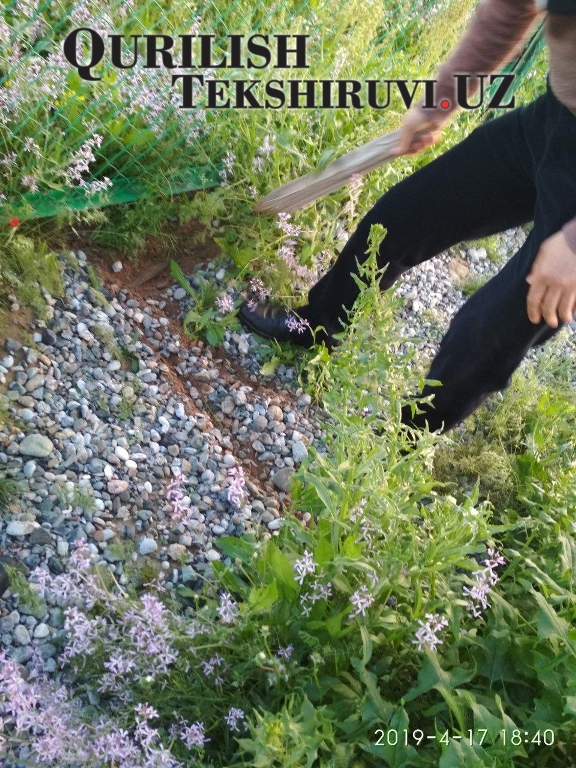 256 smety proshedshie ekspertizu tashkent po viloyatam 256 smety proshedshie ekspertizu tashkent po viloyatam xizmat дв qurilish tekshiruvi курилиш текшируви