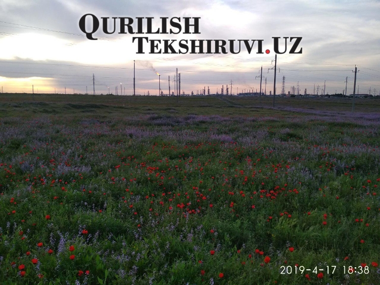 317 strojekspertiza viloyaty tashkent po viloyatam 317 strojekspertiza viloyaty tashkent po viloyatam компанией qurilish tekshiruvi курилиш текшируви