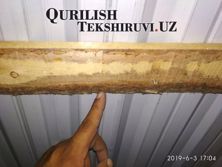 shajxon toxur tumani dom 163 центр qurilish tekshiruvi курилиш текшируви 